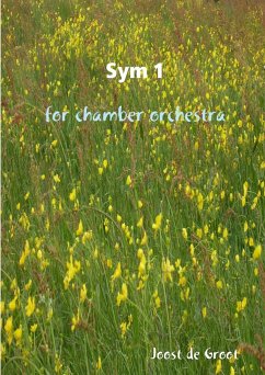 Sym 1 for chamber orchestra - de Groot, Joost