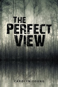 The Perfect View - Young, Carolyn