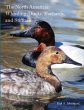 The North American Whistling-Ducks,... - Bild 1