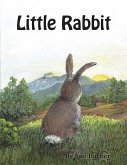 Little Rabbit