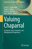 Valuing Chaparral (eBook, PDF)