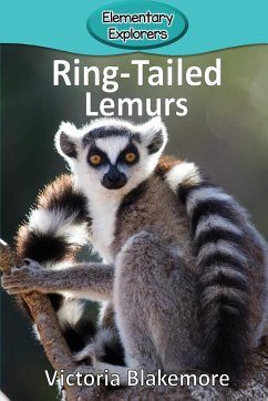 Ring-Tailed Lemurs - Blakemore, Victoria