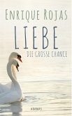 Liebe (eBook, ePUB)
