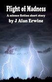 Flight of Madness (eBook, ePUB) Flight of Madness (eBook, ePUB)