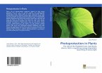 Photoprotection in Plants