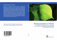 Photoprotection in Plants - Pavlovic, Lazar