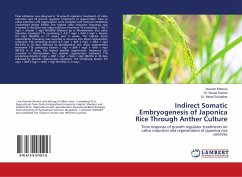 Indirect Somatic Embryogenesis of Japonica Rice Through Anther Culture - Sharma, Avinash;Kumari, Nirupa;Sutradhar, Monoj