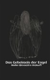 Das Geheimnis der Engel (eBook, ePUB)