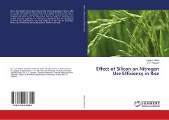 Effect of Silicon on Nitrogen Use Efficiency in Rice