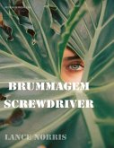 The Brummagem Screwdriver (eBook, ePUB)