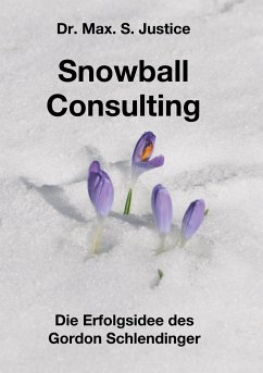 Snowball Consulting - Justice, Max. S.