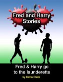 Fred and Harry Stories: Fred and Harry Go to the Launderette (eBook, ePUB)