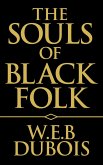 The Souls of Black Folk (eBook, ePUB)