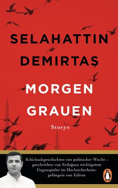 Morgengrauen (eBook, ePUB) - Demirtas, Selahattin