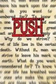 PUSH (eBook, ePUB)
