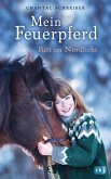 Ritt im Nordlicht / Mein Feuerpferd Bd.1 (eBook, ePUB)
