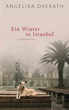 Ein Winter in Istanbul (eBook, ePUB) - Overath, Angelika