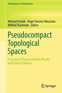 Pseudocompact Topological Spaces