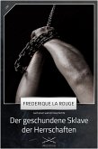 Der geschundene Sklave der Herrschaften (eBook, ePUB)