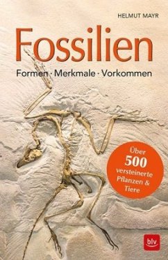 Fossilien - Mayr, Helmut