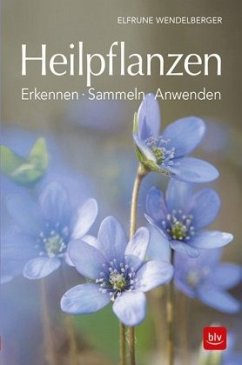 Heilpflanzen - Wendelberger, Elfrune