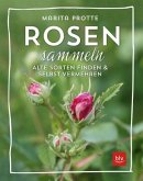 Rosen sammeln