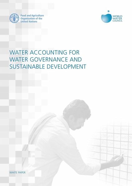 Water Accounting for Water Governance and Sustainable Development: White Paper (eBook, ePUB)