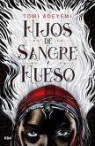 Hijos de Sangre Y Hueso / Children of Blood and Bone