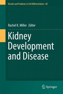 Kidney Development and Disease (eBook, PDF)