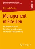 Management in Brasilien (eBook, PDF)