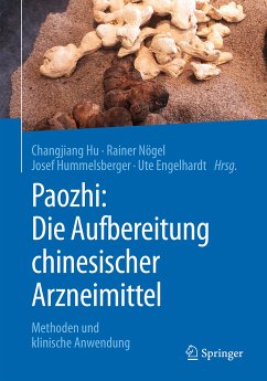 Paozhi: Die Aufbereitung chinesischer Arzneimittel (eBook, PDF)