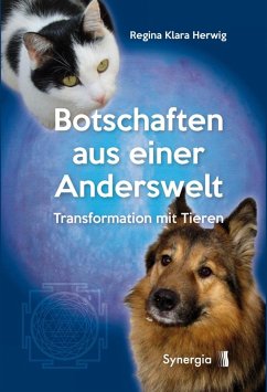 Botschaften aus einer Anderswelt (eBook, ePUB) - Herwig, Regina Klara