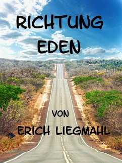 Richtung Eden (eBook, ePUB) - Liegmahl, Erich