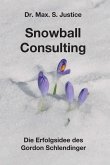 Snowball Consulting (eBook, ePUB)
