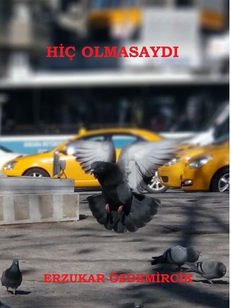 Hiç Olmasaydi (eBook, ePUB)