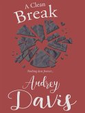 A Clean Break (eBook, ePUB)