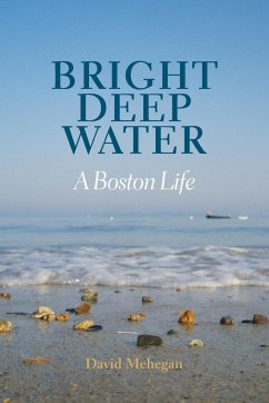 Bright Deep Water - Mehegan, David