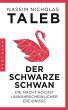 Der Schwarze Schwan - Bild 1