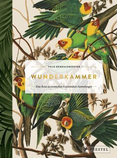 Wunderkammer - Demeulemeester, Thijs