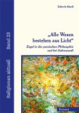 &quote;Alle Wesen bestehen aus Licht&quote; (eBook, PDF)