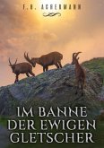 Im Banne der ewigen Gletscher (eBook, ePUB)