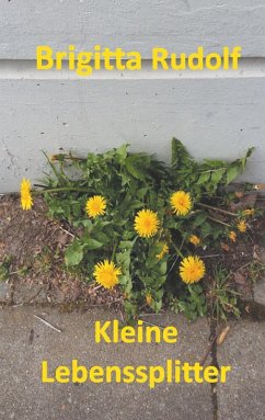 Kleine Lebenssplitter (eBook, ePUB)