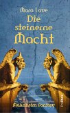 Die steinerne Macht (eBook, ePUB)