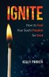 Ignite (eBook, ePUB) - Bild 1