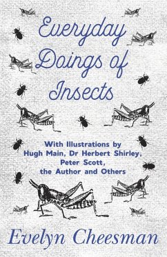 Everyday Doings of Insects - With Illustrations by Hugh Main, Dr Herbert Shirley, Peter Scott, the Author and Others (eBook, ePUB) - Cheesman, Evelyn