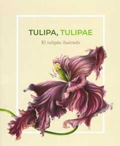 Tulipa tulipae : arte y conocimiento