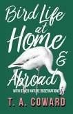 Bird Life at Home and Abroad - With Other Nature Observations (eBook, ePUB)