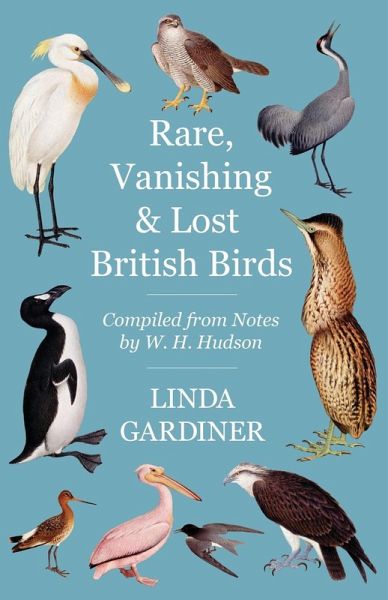 Rare, Vanishing and Lost British Birds (eBook, ePUB)