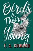 Birds and Their Young (eBook, ePUB)
