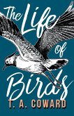 The Life of Birds (eBook, ePUB)